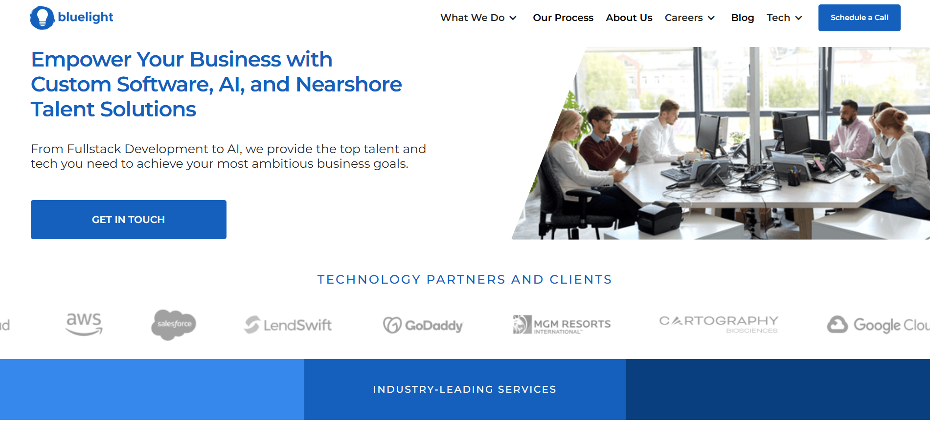 Bluelight Consulting