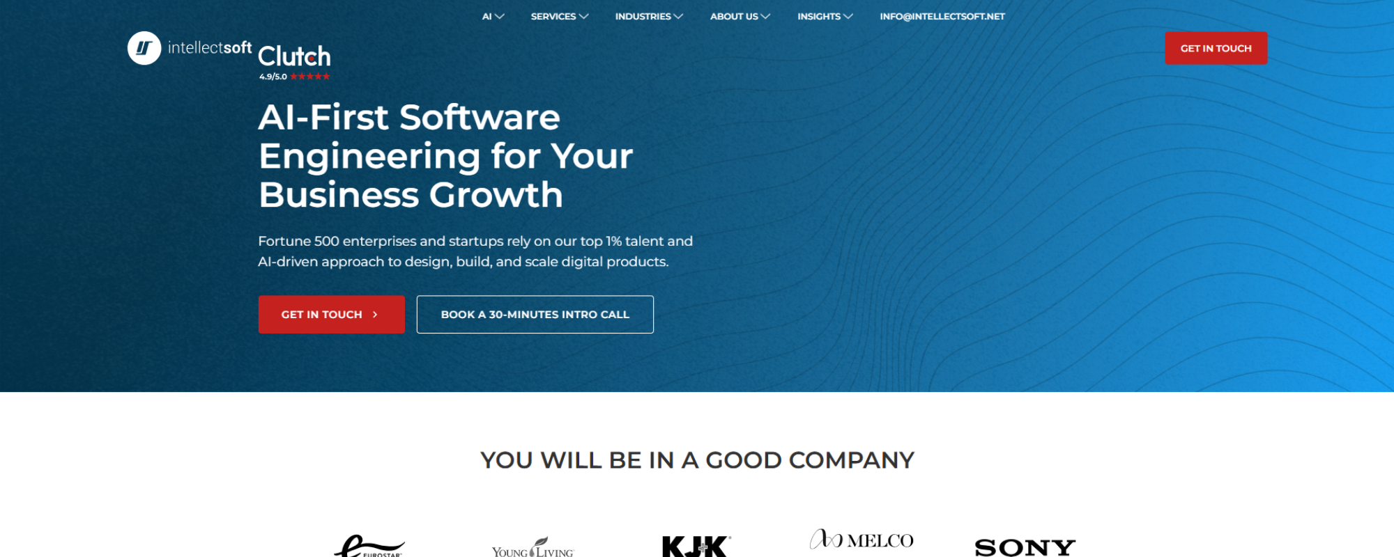 Top Software Development Partners for Cybersecurity Products, Intellectsoft